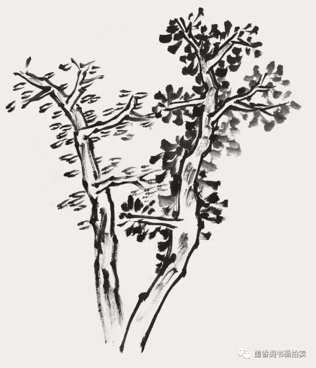松树柏树柳树梧桐树树的组合画法两棵三棵近景中景远景杂树丛树