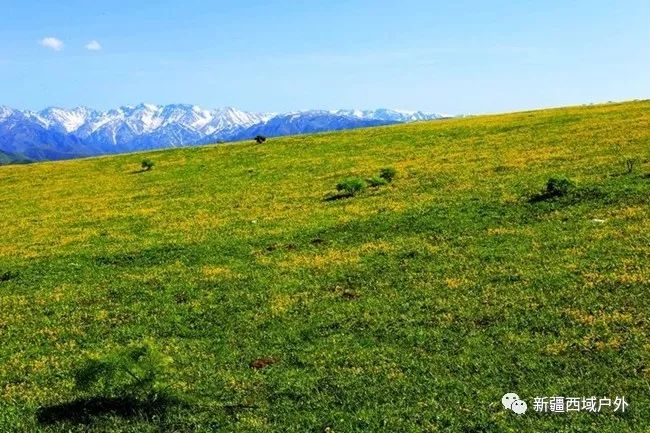 第二期5月1012日邀你山花爛漫巴爾魯克山塔斯提景區芍藥谷小白楊哨所