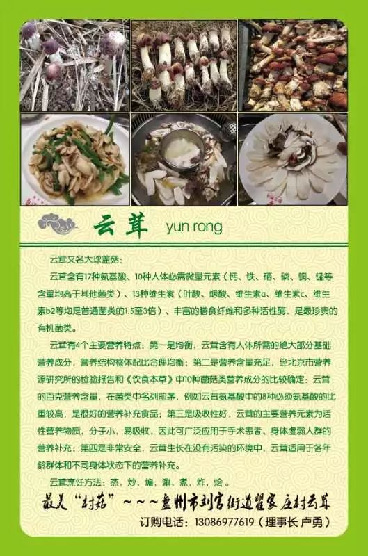 云茸—攀钢对口扶贫帮扶村的特色产品