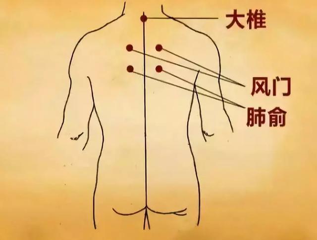 青少年期艾灸風門穴,三陰交,肺俞 17歲左右灸風門穴,以預防呼吸疾病