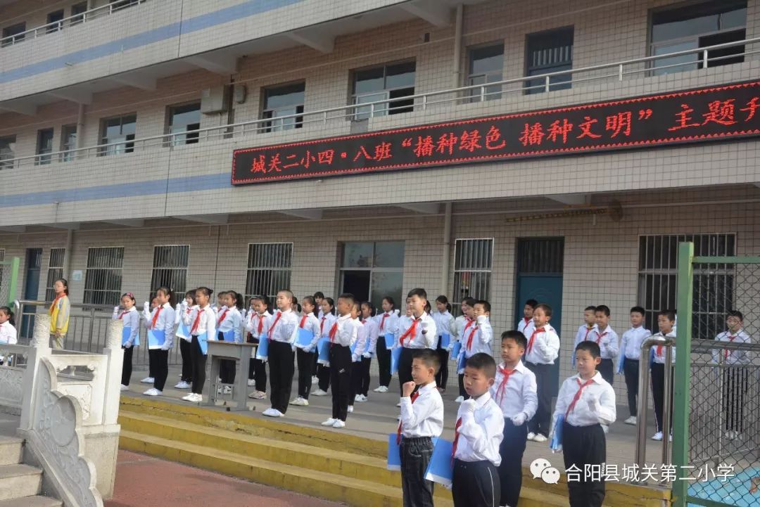 合阳县小学片区分布图图片