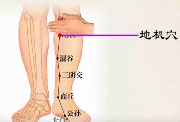 地机按压痛说明什么图片