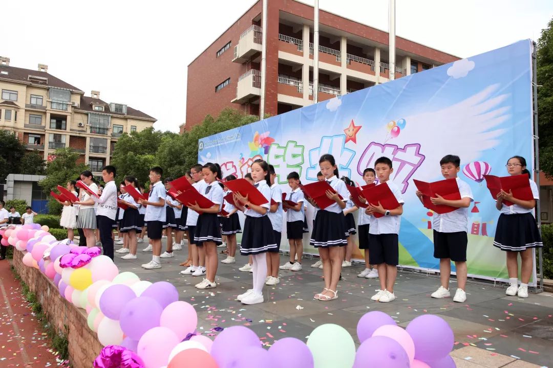 百树教育·南昌外国语九里象湖城学校2019年秋季小学一年级新生网报