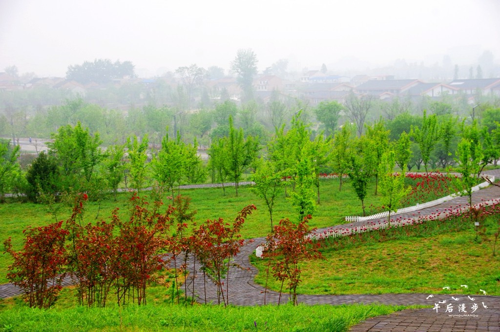 雨中漫步西安秦嶺國家植物園