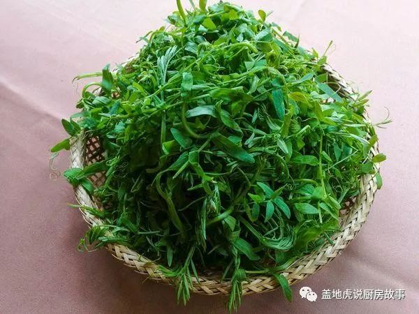 火鍋中的野菜品種豐富,如茼蒿菜,枸地芽,竹葉菜,豆瓣菜,血皮菜,鵝腳板