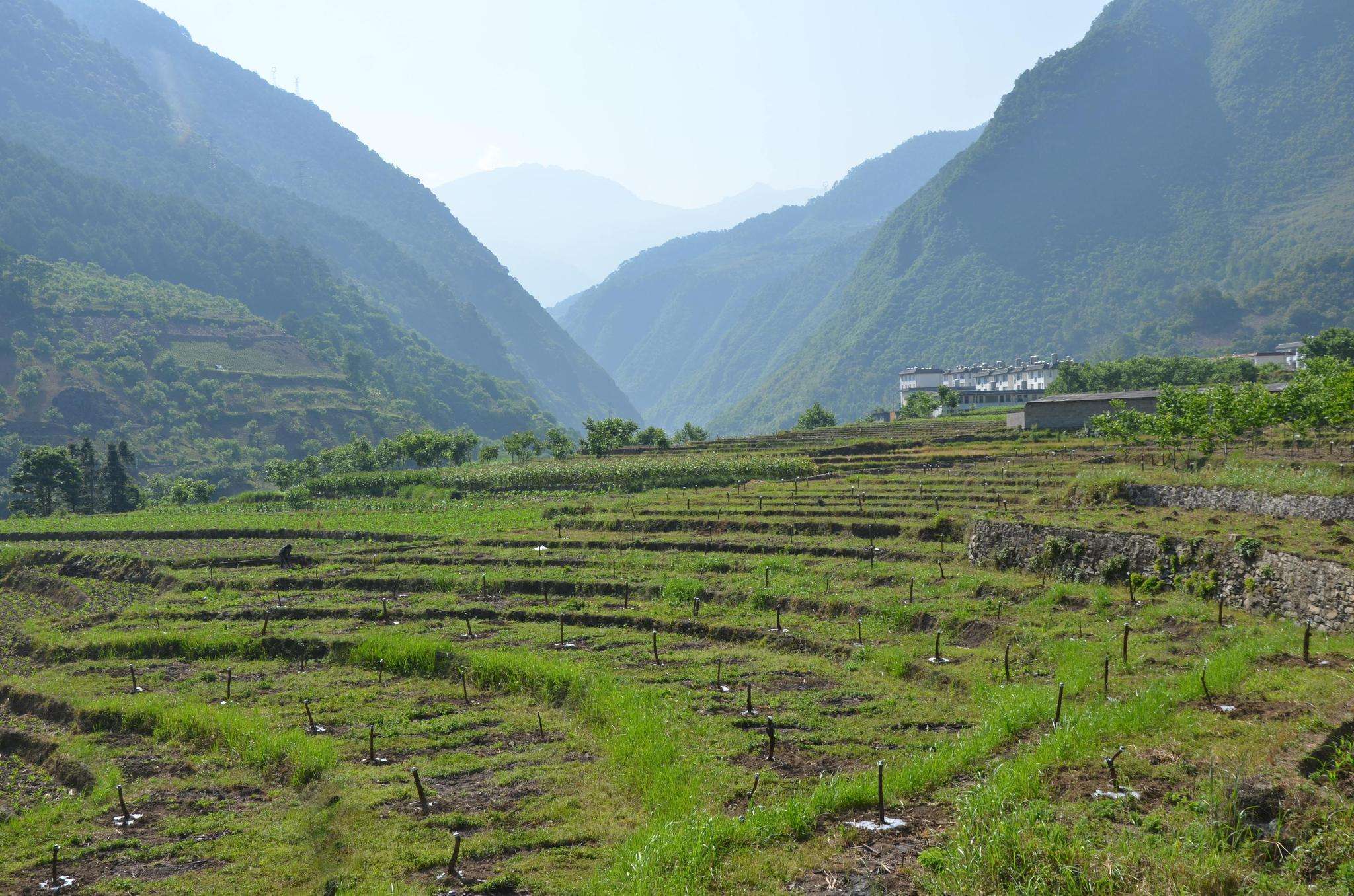 現在的農村地區為什麼撂荒的田地那麼多?農民為什麼不種地?