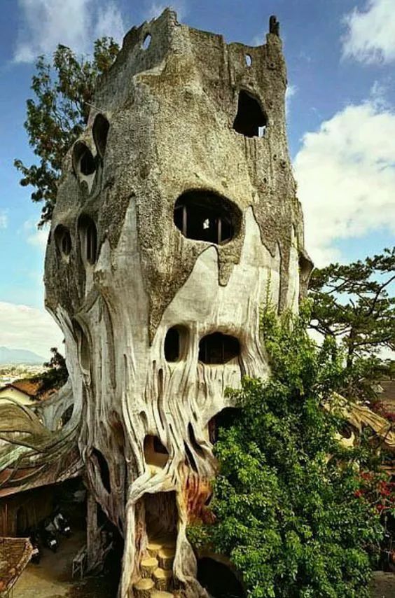世界上最诡异的树图片