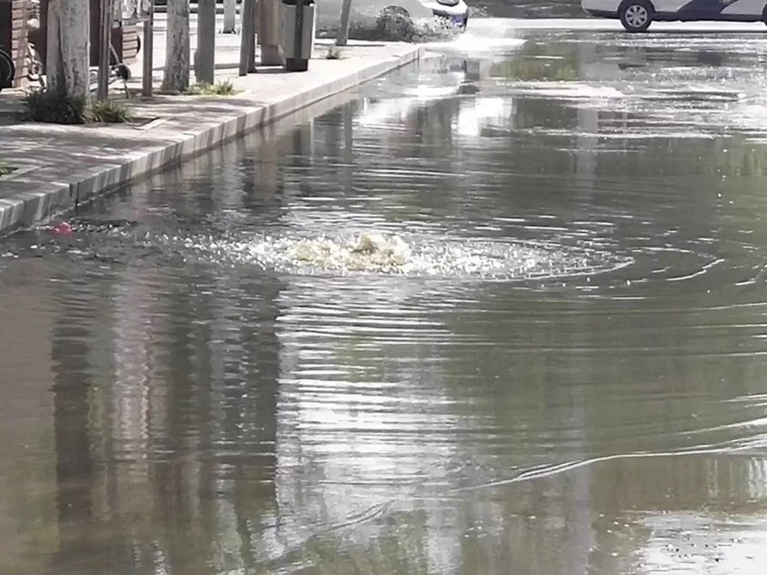 臭氣熏天!濮陽五一路上汙水反冒,道路淹成河!