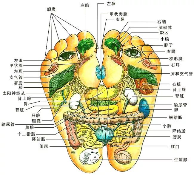 脚是最脏的二毫米3