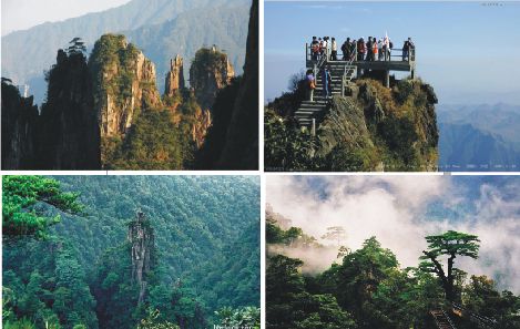 莽山杜鵑2019年4月21號週日湖南莽山森林公園登天台山將軍寨賞高山