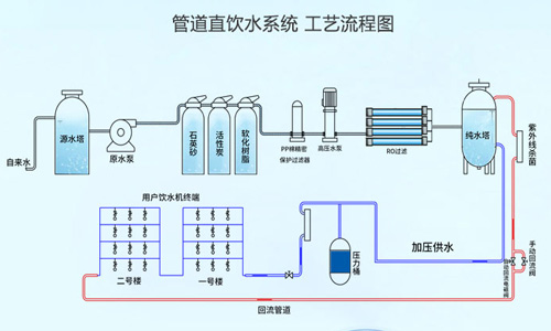 人体喝水经过器官流程图片