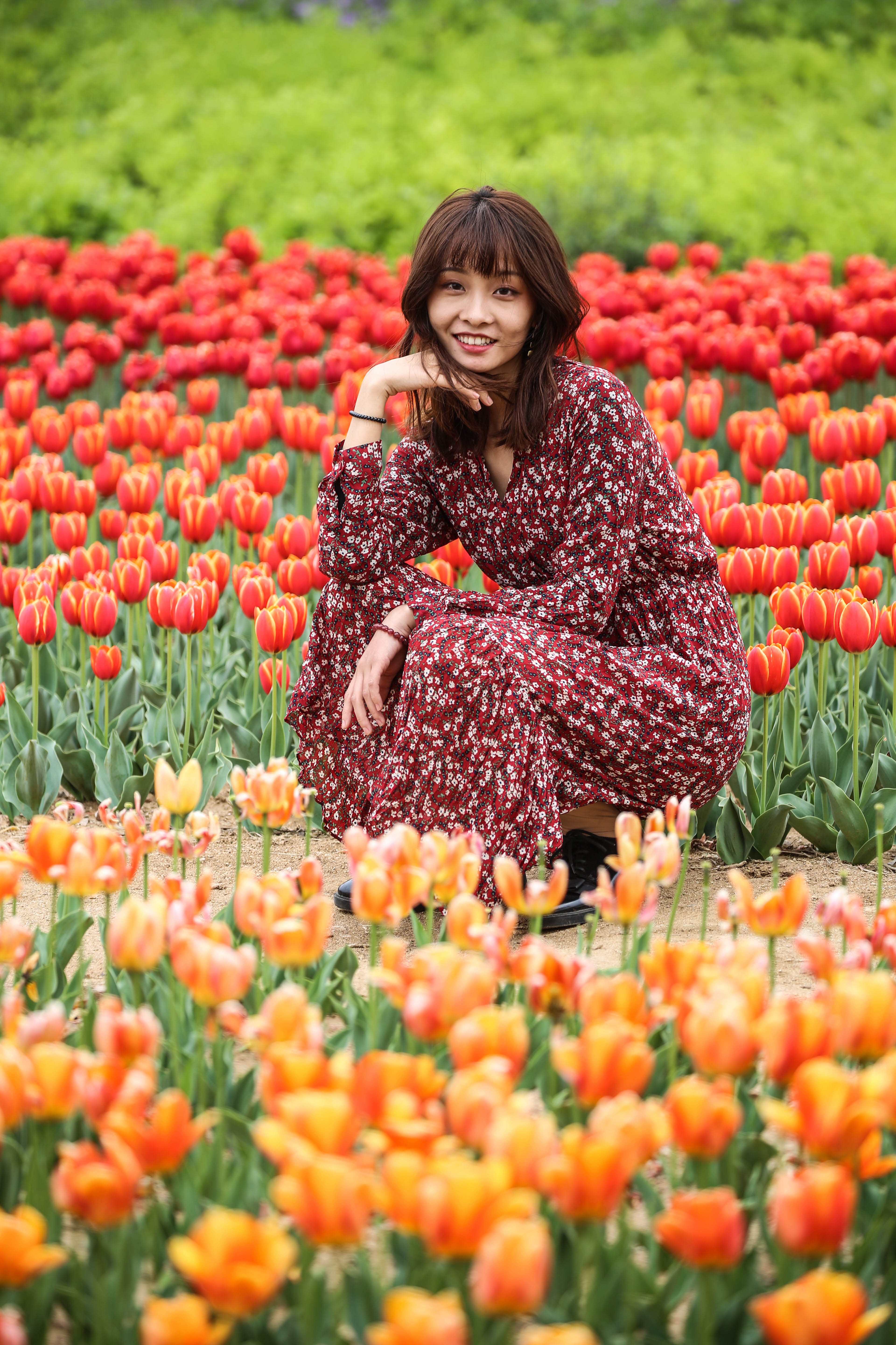 郁金香花海拍照姿势图片