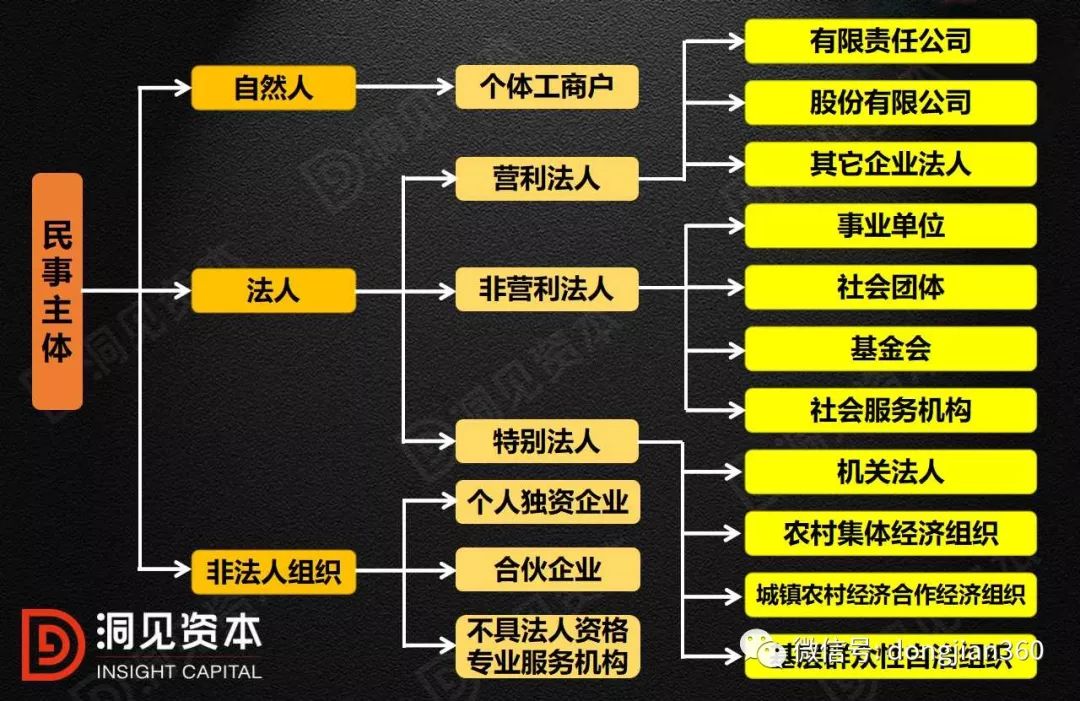 个体户组织结构图图片