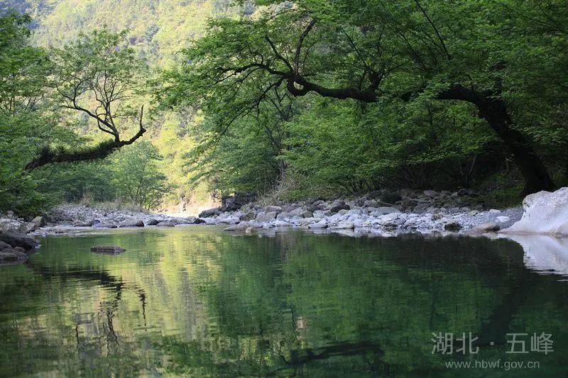 百溪河國家溼地公園五峰後河天門峽景區為國家aaaa級景區,位於湖北