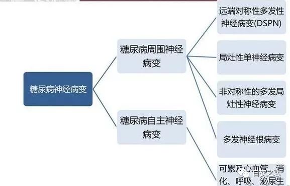 糖美课堂 糖尿病神经病变概论