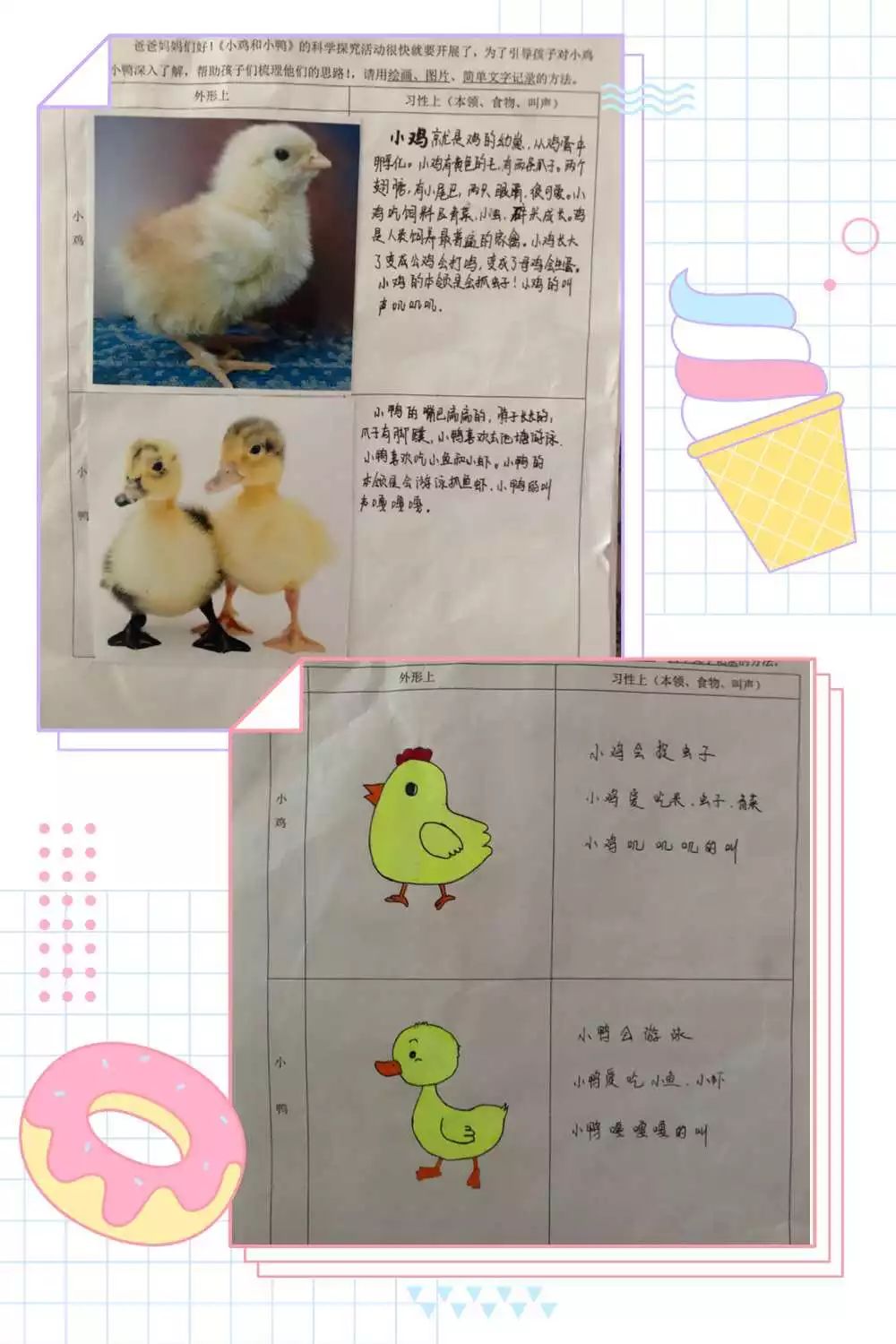 小鸡孵化记录表幼儿园图片