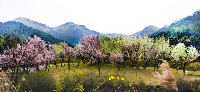 木兰野村谷风景区图片