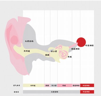 骨传导示意图图片