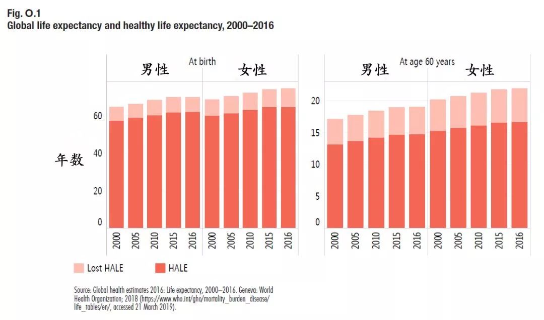 在导致人类死亡的40个主要原因中,有33个会导致男性预期寿命低于女性