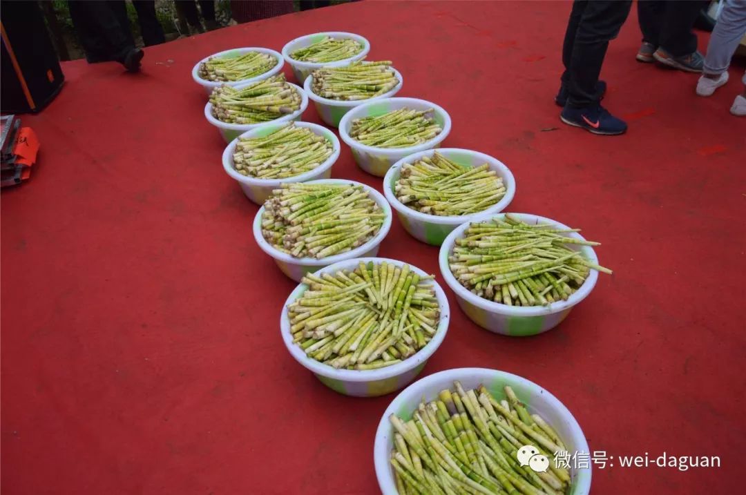 高手在民间这个采笋剥笋比赛太精彩