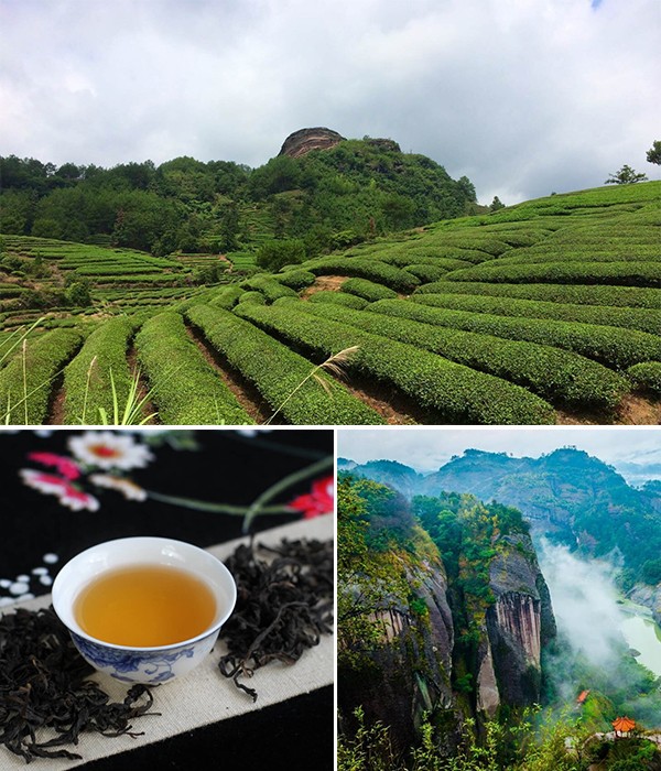 世界名茶大紅袍產地武夷山景色太迷人完勝桂林山水