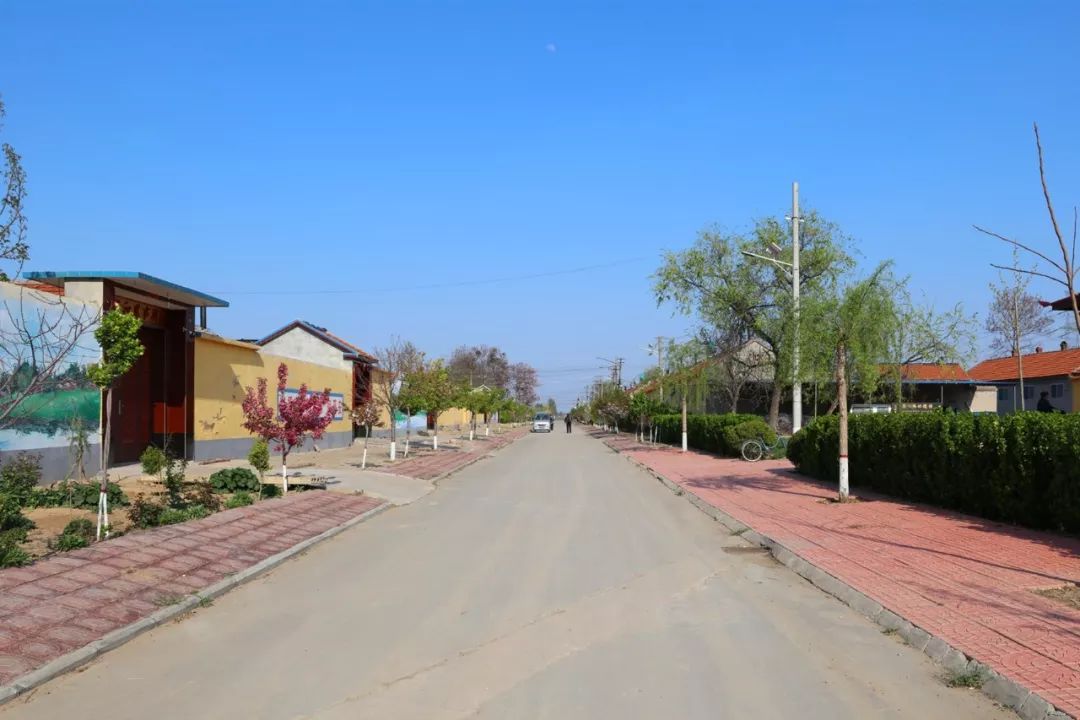 龙田东营村图片