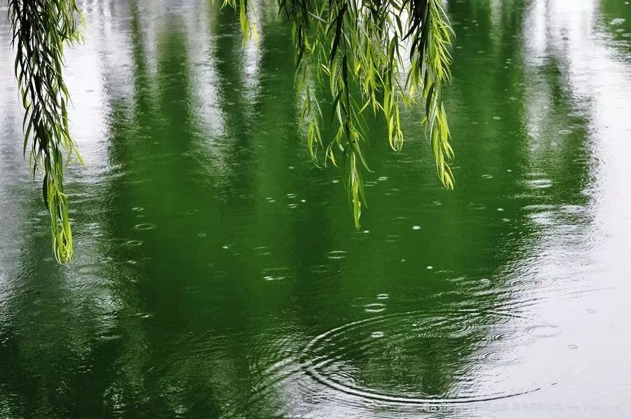 春雨风景图片大全集图片