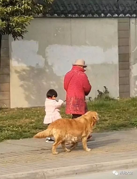 大媽帶著孩子遛狗看著還挺溫馨走近了一看笑噴差點笑出內傷