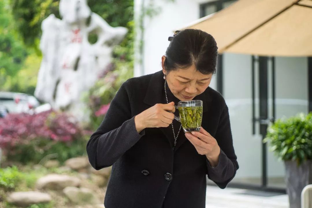 有口福了西湖龙井茶专家点赞较去年群体种雨前龙井品质有提升发货中