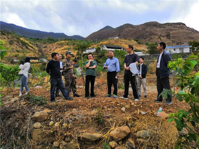 【本地新闻】县委副书记张应聪,县委常委,常务副县长朱国政到洼里调研