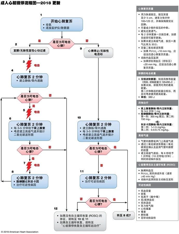 cpr步骤图片