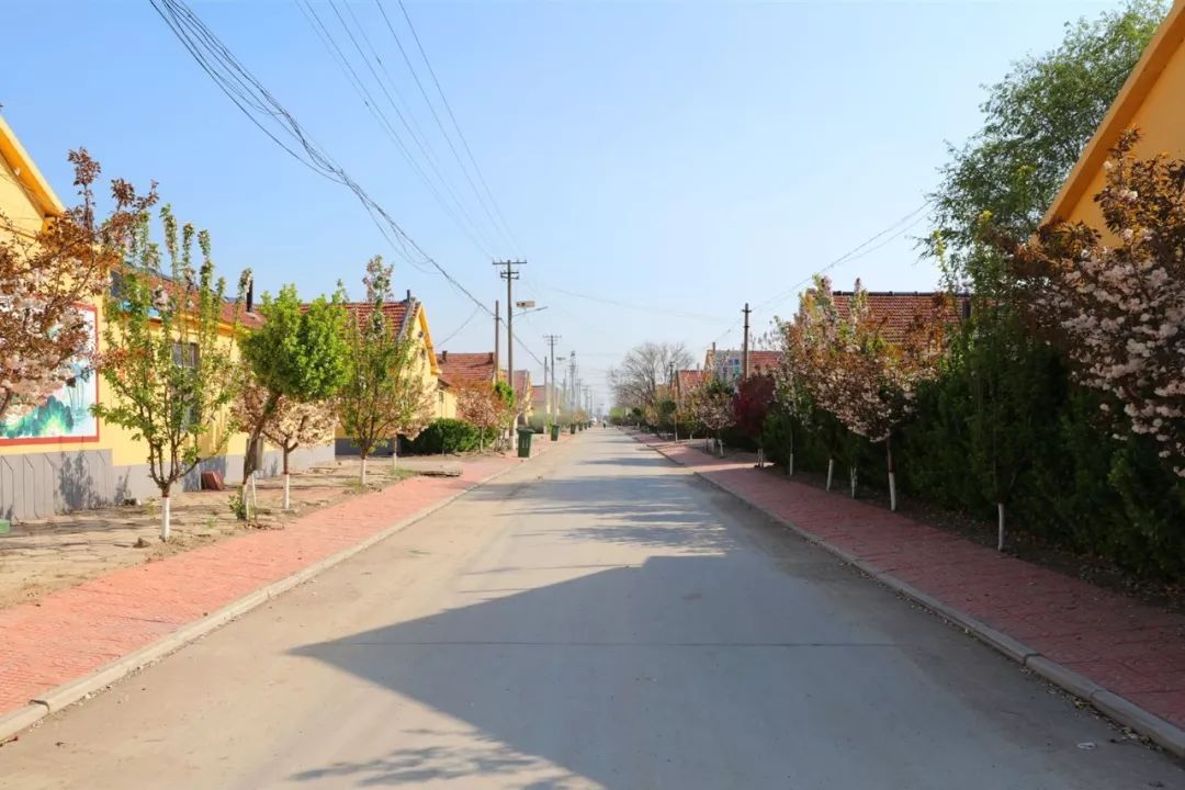 昌平区东营村图片