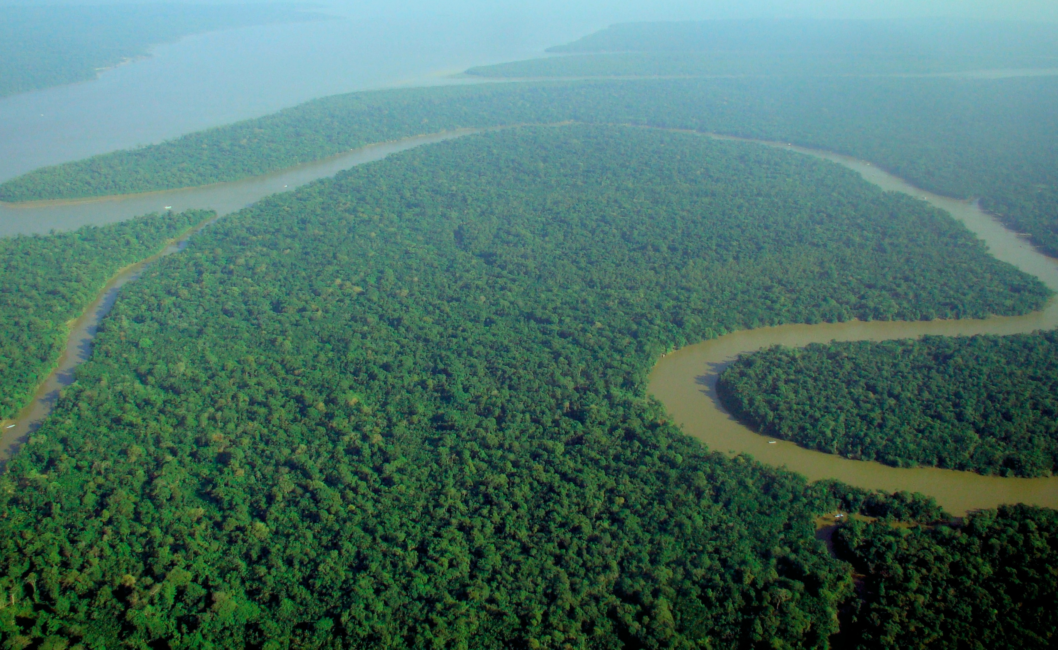 美洲豹栖息地:亚马逊森林
