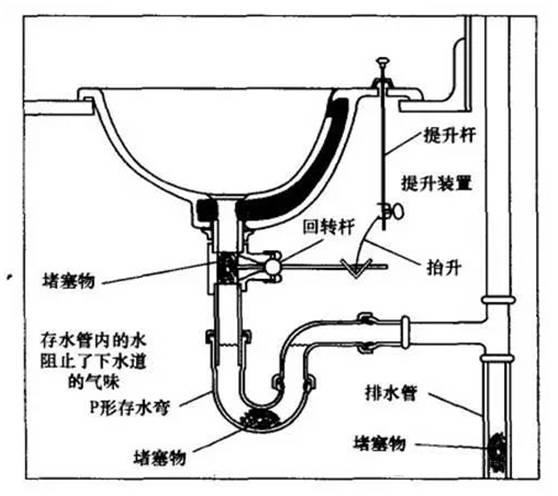 马桶下水道结构图图片