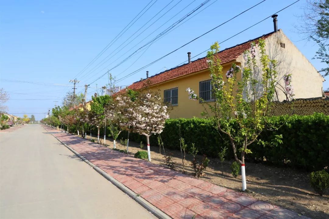 福清东营村图片