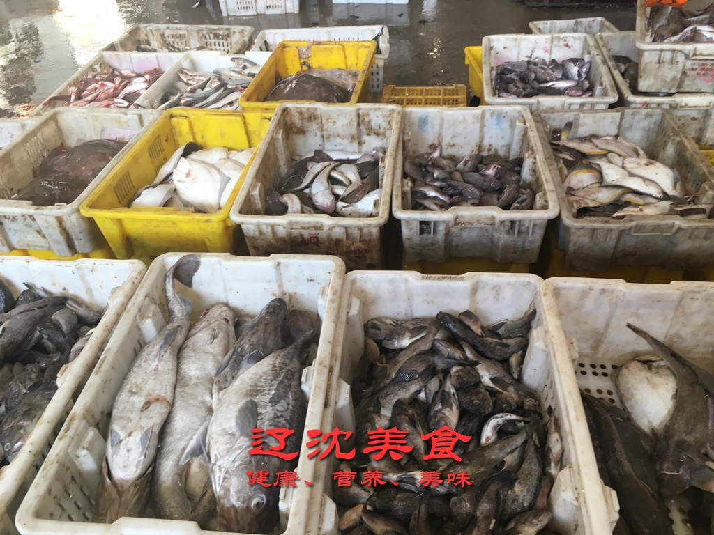 帶您逛逛遼南最大的海鮮批發市場走進鮁魚圈