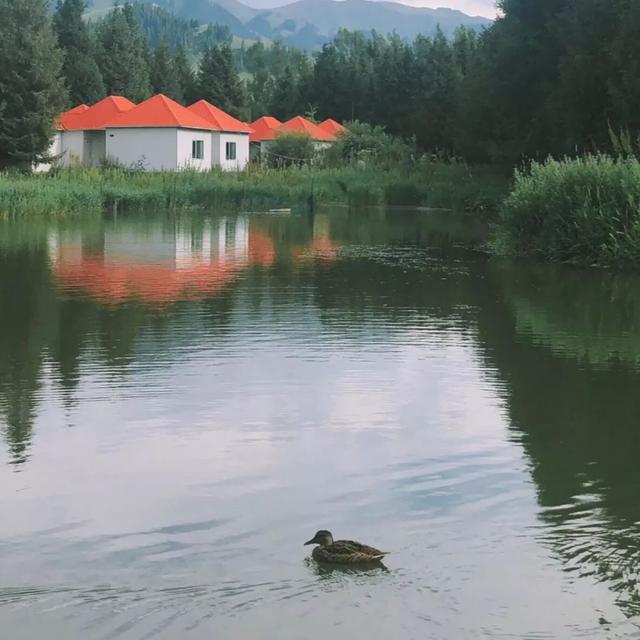 好看精致朋友圈背景图来一波