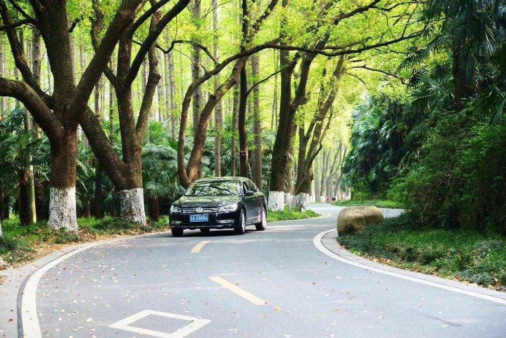 长青路说到各地的美景之地,往往都少不了某所大学