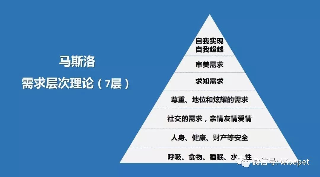 馬斯洛的需求金字塔我們忽略了什麼