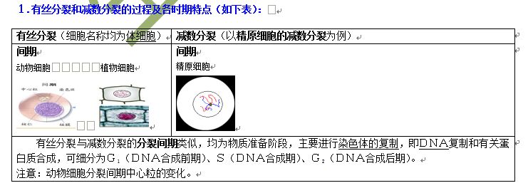 直擊高考之分裂篇有絲分裂與減數分裂