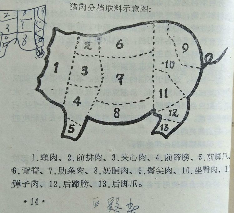 图5《切配与烹调技术》饮食教材中的:猪肉分档取料示意图图6.