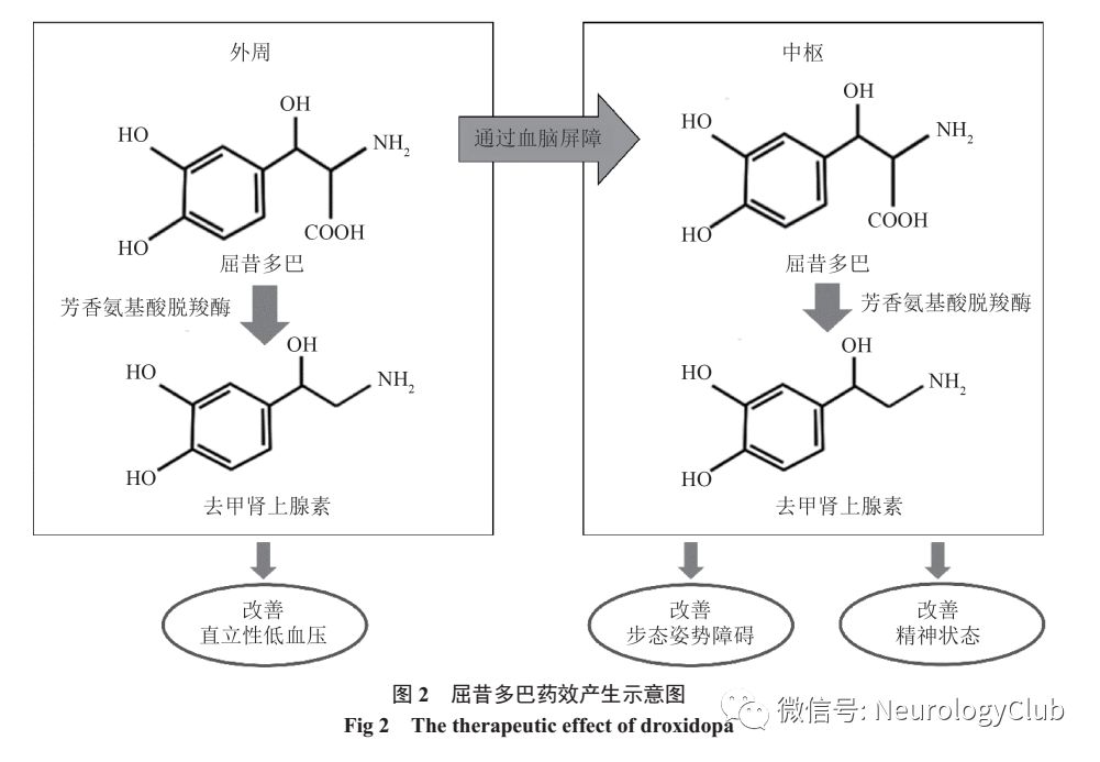 使血管內去甲腎上腺素