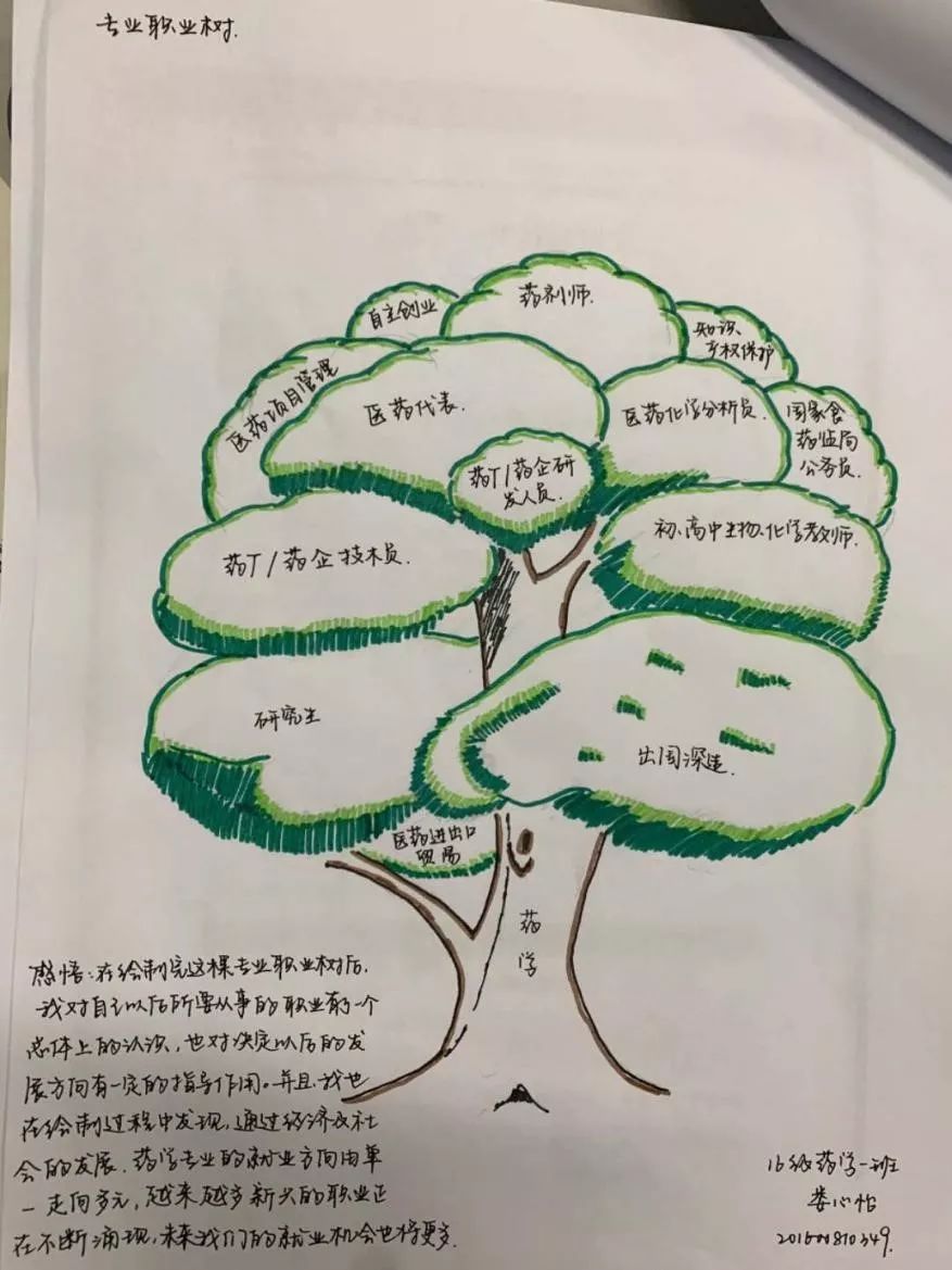 大学生涯规划图树状图图片