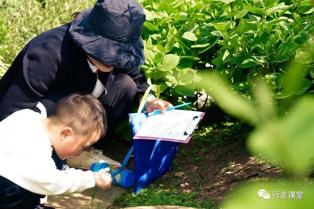 走进大自然,让你的孩子不做塑料儿童