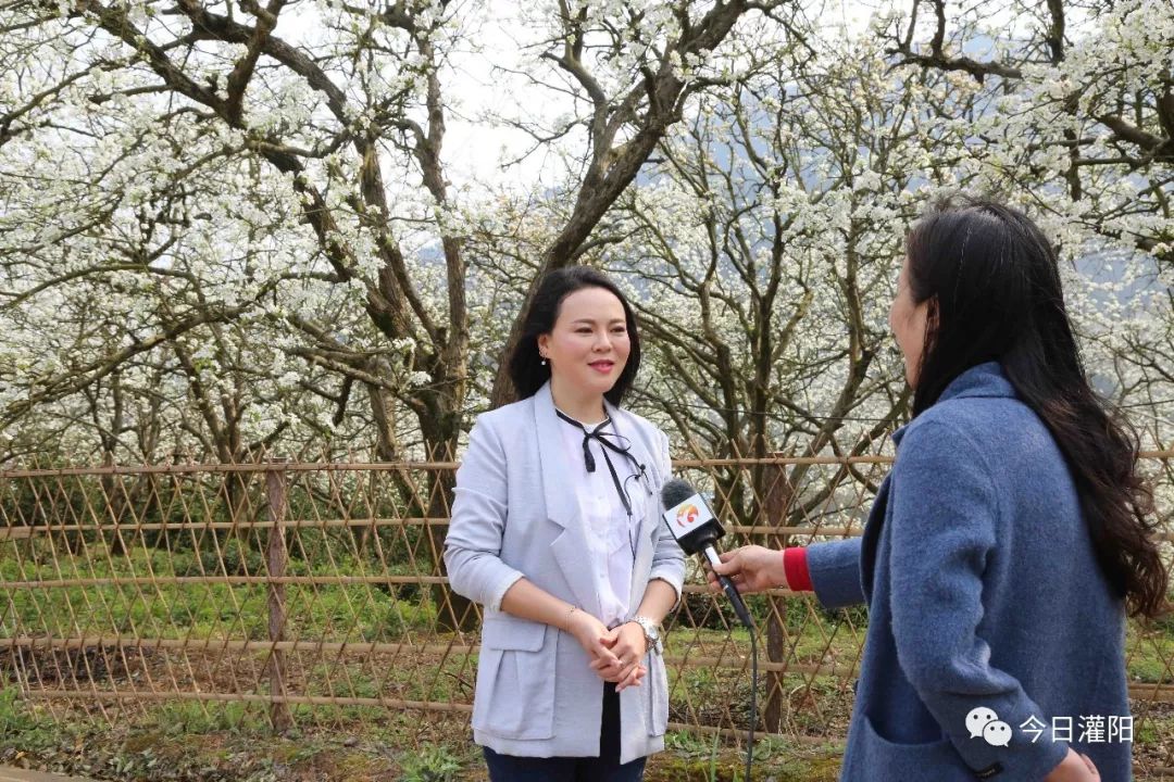 生财有道女主持人图片