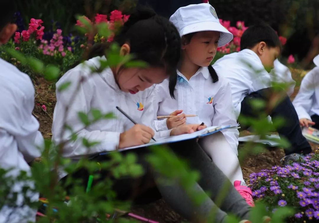 学生参观植物园图片