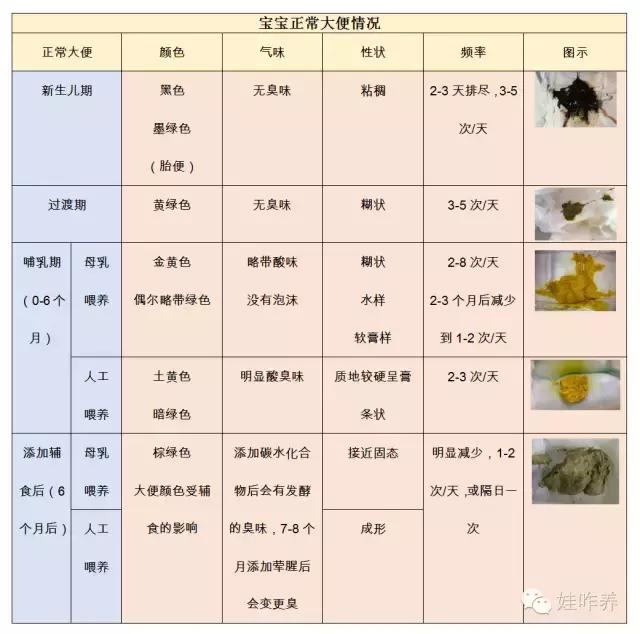 宝宝正常便便情况分析图片