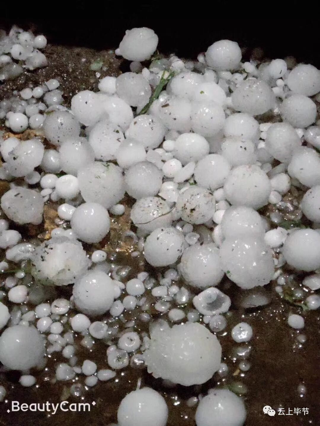 太嚇人!狂風 暴雨 冰雹 大雨昨晚突襲畢節