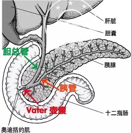 看图纸我们先来看看