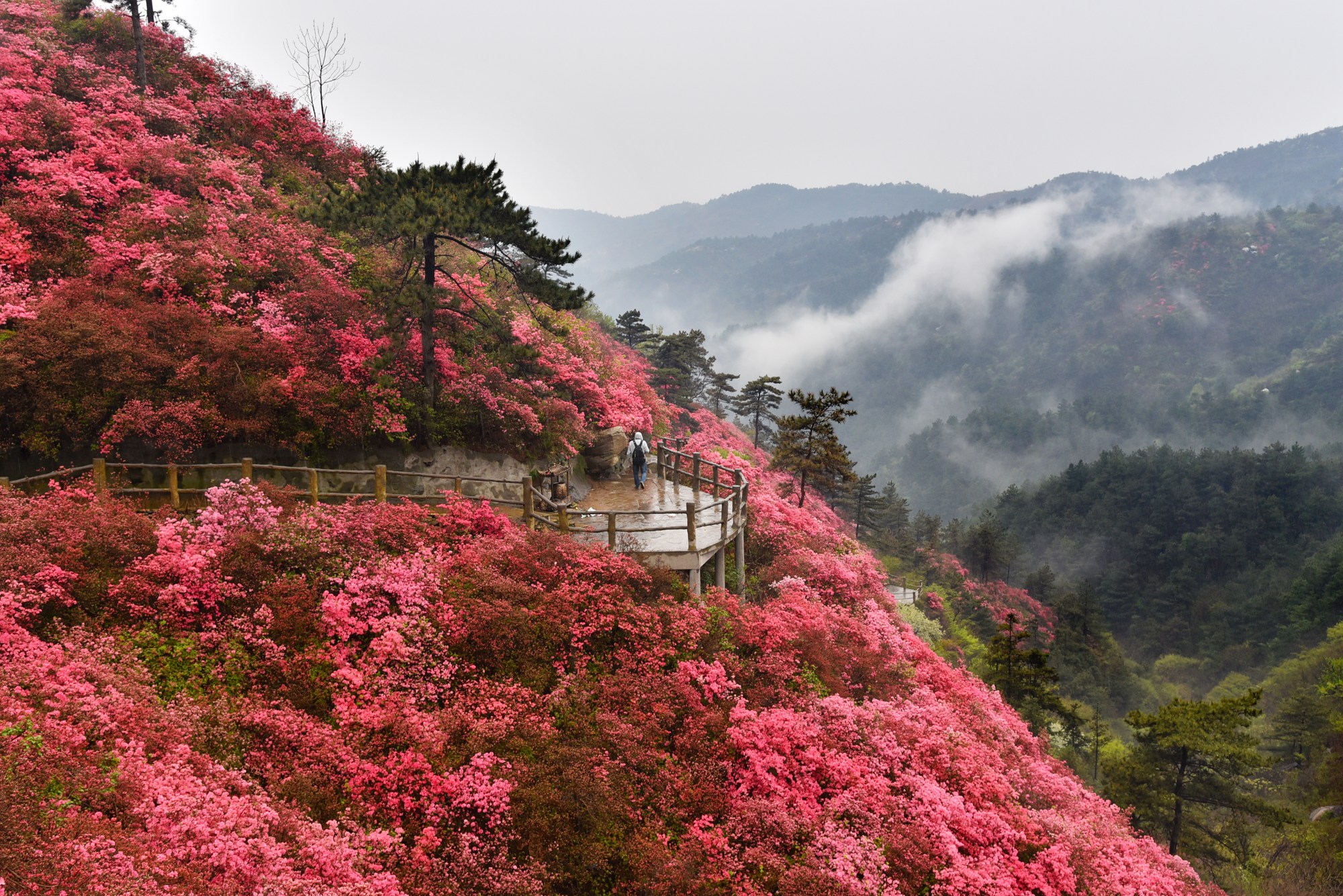 武汉黄陂云雾山,人间仙境名不虚传,四季皆风景